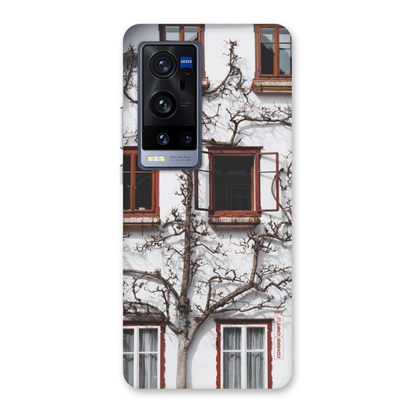 Tree House Back Case for Vivo X60 Pro Plus