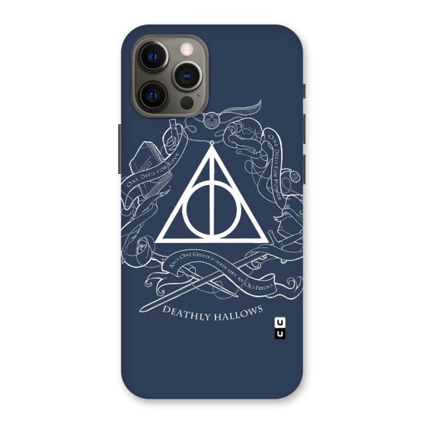 Triangle Blue Back Case for iPhone 12 Pro Max