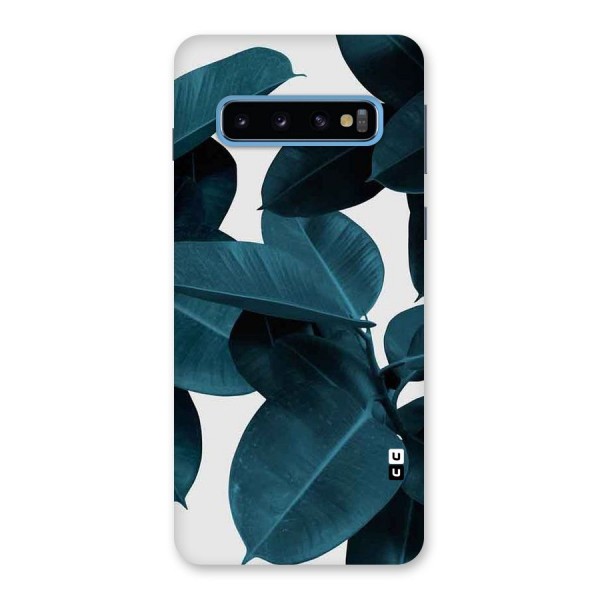 Very Aesthetic Leafs Back Case for Galaxy S10