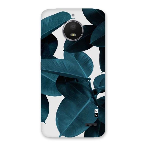 Very Aesthetic Leafs Back Case for Moto E4