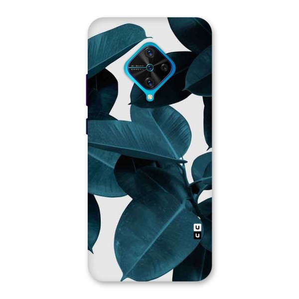 Very Aesthetic Leafs Back Case for Vivo S1 Pro