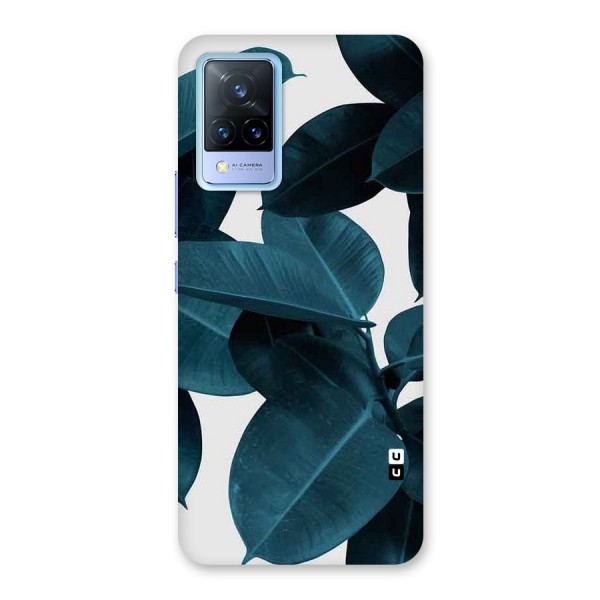 Very Aesthetic Leafs Back Case for Vivo V21 5G