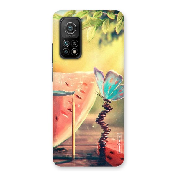 Watermelon Butterfly Back Case for Mi 10T Pro 5G