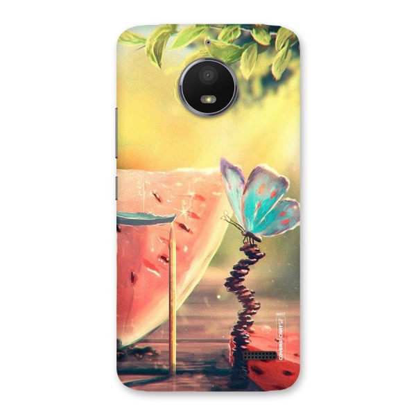 Watermelon Butterfly Back Case for Moto E4