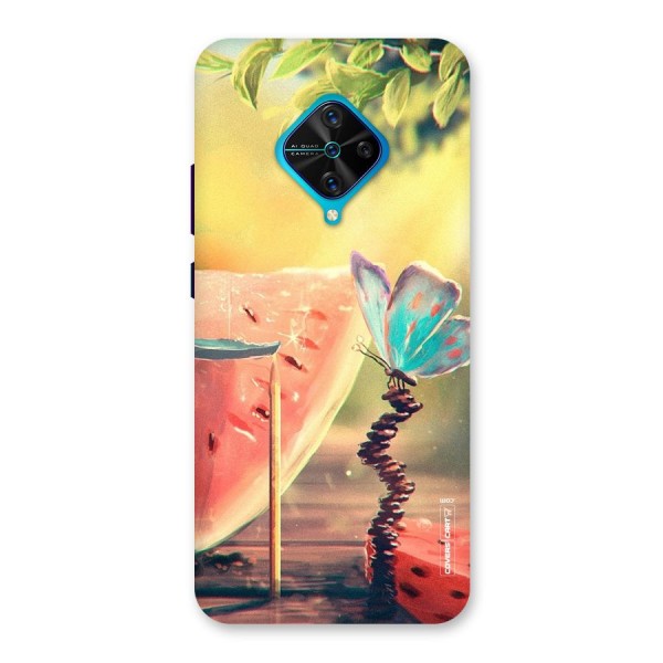 Watermelon Butterfly Back Case for Vivo S1 Pro