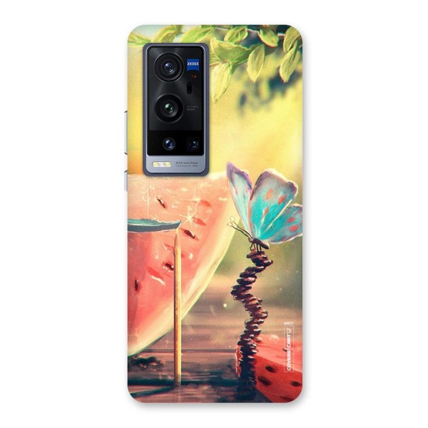 Watermelon Butterfly Back Case for Vivo X60 Pro Plus