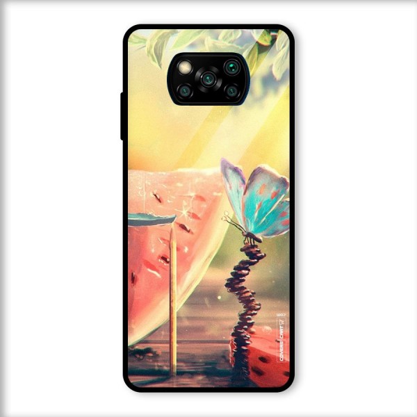 Watermelon Butterfly Glass Back Case for Poco X3