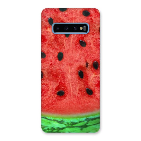 Watermelon Design Back Case for Galaxy S10 Plus
