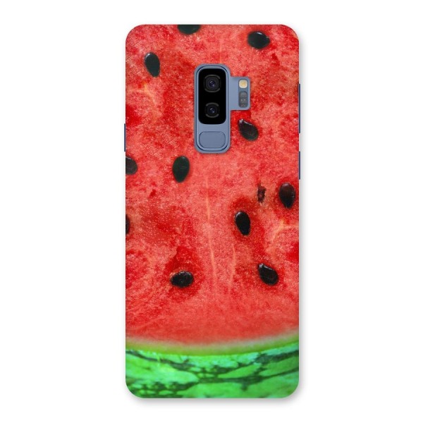 Watermelon Design Back Case for Galaxy S9 Plus