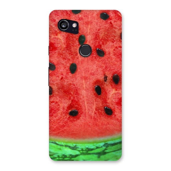 Watermelon Design Back Case for Google Pixel 2 XL