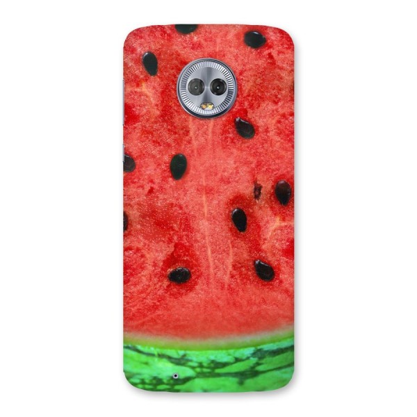 Watermelon Design Back Case for Moto G6