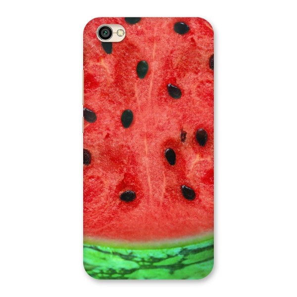 Watermelon Design Back Case for Redmi Y1 Lite