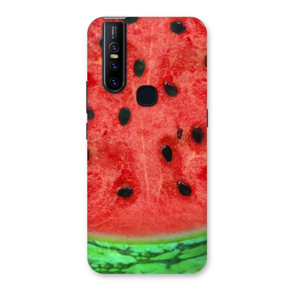 Watermelon Design Back Case for Vivo V15