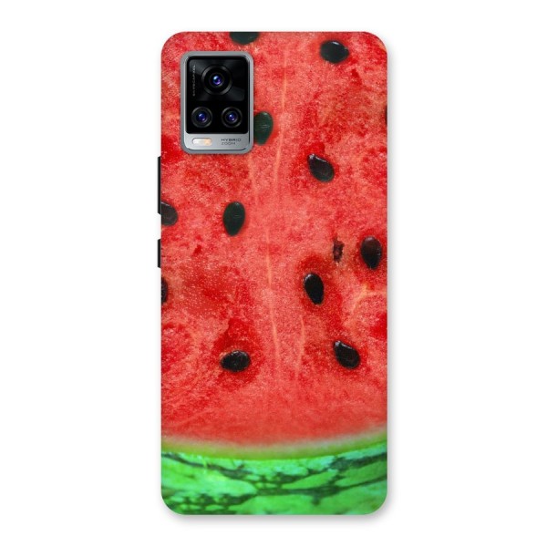 Watermelon Design Back Case for Vivo V20 Pro