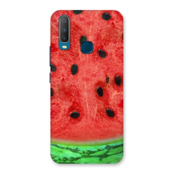 Watermelon Design Back Case for Vivo Y12