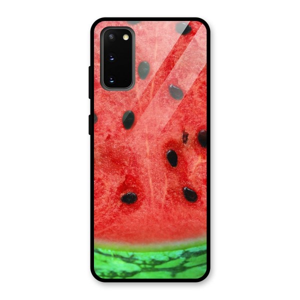 Watermelon Design Glass Back Case for Galaxy S20