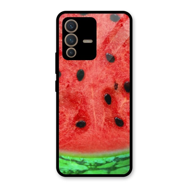 Watermelon Design Glass Back Case for Vivo V23 5G