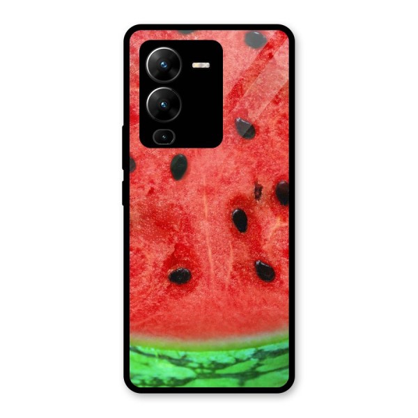 Watermelon Design Glass Back Case for Vivo V25 Pro