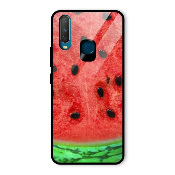 Watermelon Design Glass Back Case for Vivo Y12