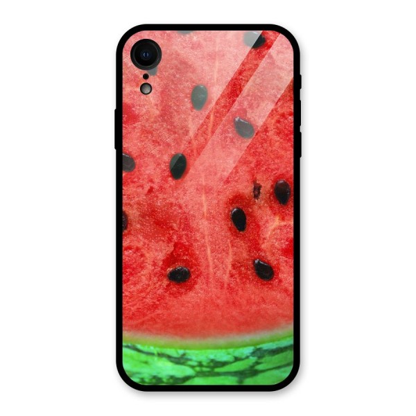 Watermelon Design Glass Back Case for XR