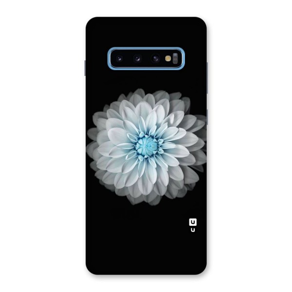 White Bloom Back Case for Galaxy S10 Plus