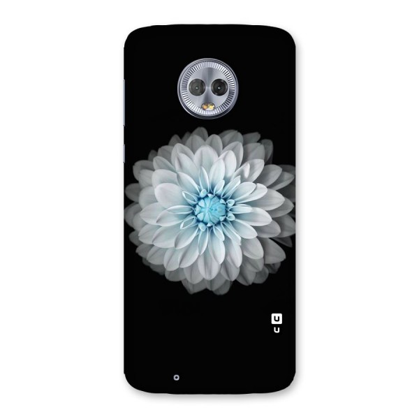 White Bloom Back Case for Moto G6