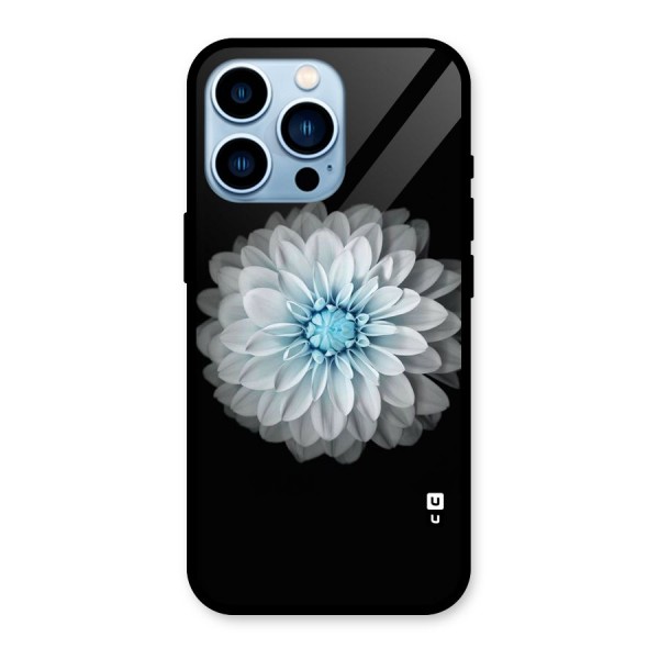 White Bloom Glass Back Case for iPhone 13 Pro