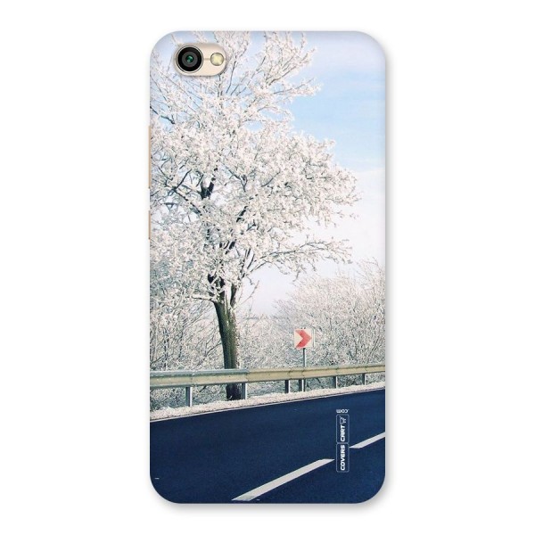 White Snow Tree Back Case for Redmi Y1 Lite