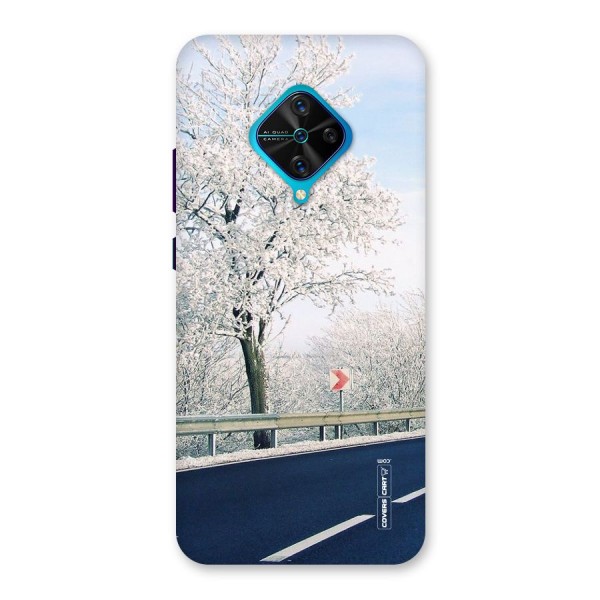 White Snow Tree Back Case for Vivo S1 Pro