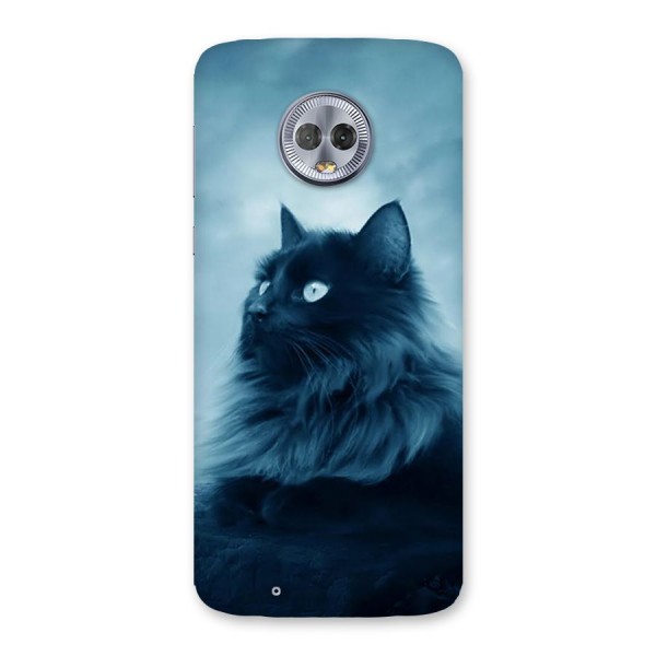 Wild Forest Cat Back Case for Moto G6