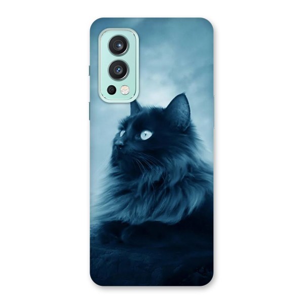 Wild Forest Cat Back Case for OnePlus Nord 2 5G