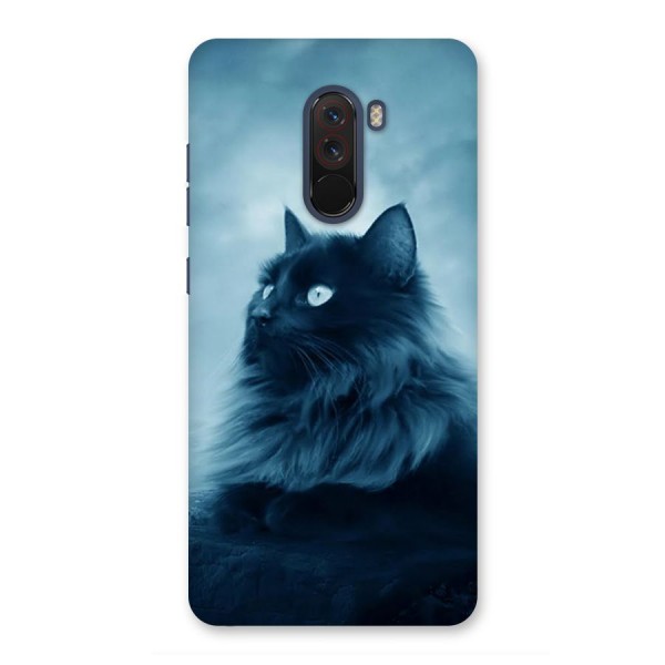 Wild Forest Cat Back Case for Poco F1