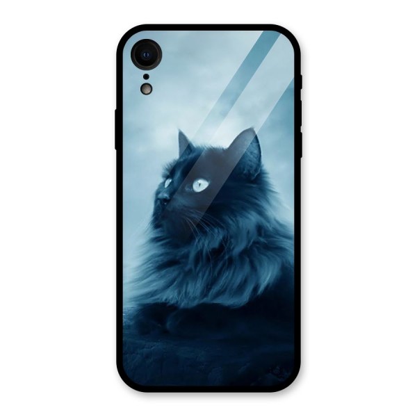 Wild Forest Cat Glass Back Case for XR