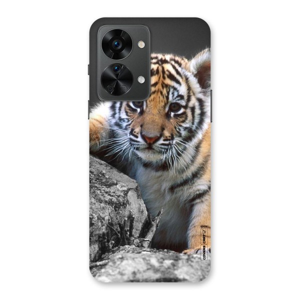 Animal Beauty Back Case for OnePlus Nord 2T