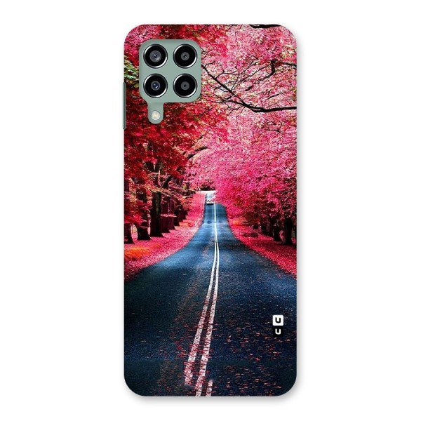 Beautiful Red Trees Back Case for Galaxy M33