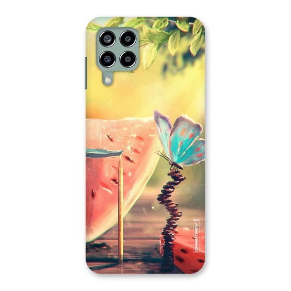 Watermelon Butterfly Back Case for Galaxy M33