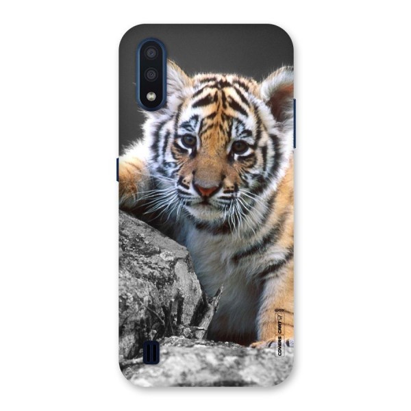 Animal Beauty Back Case for Galaxy M01