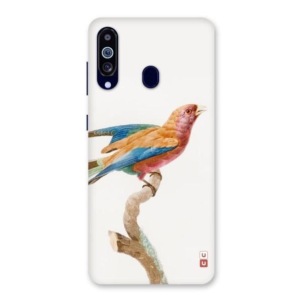 Beautiful Bird Back Case for Galaxy A60