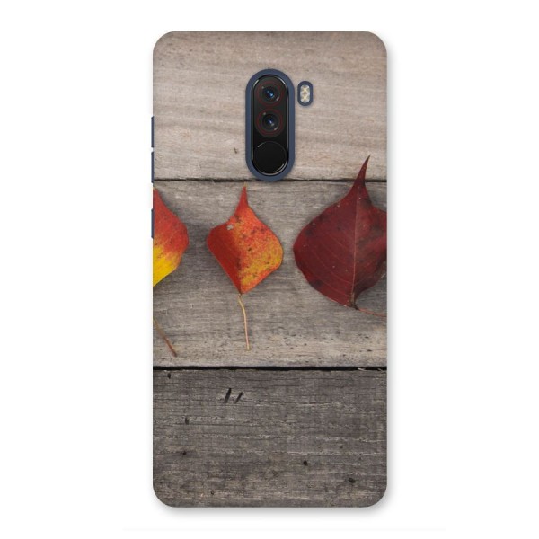 Beautiful Wood Leafs Back Case for Poco F1