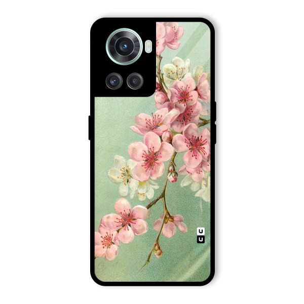 Blossom Cherry Design Glass Back Case for OnePlus 10R