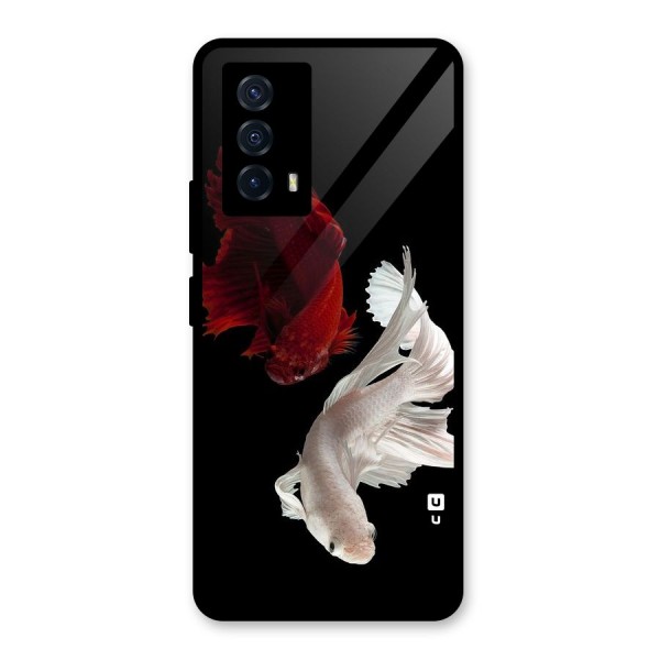 Fish Design Glass Back Case for Vivo iQOO Z5