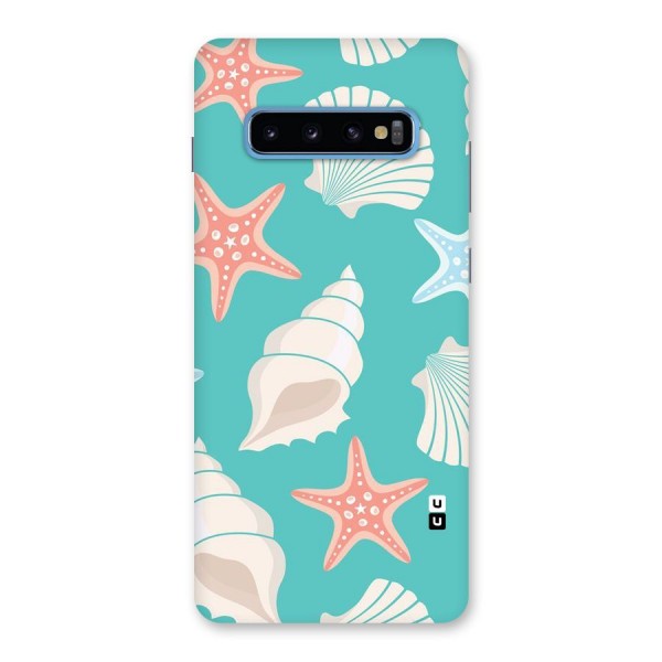 Starfish Sea Shell Back Case for Galaxy S10 Plus