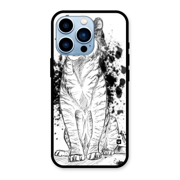 Tiger Wink Glass Back Case for iPhone 13 Pro