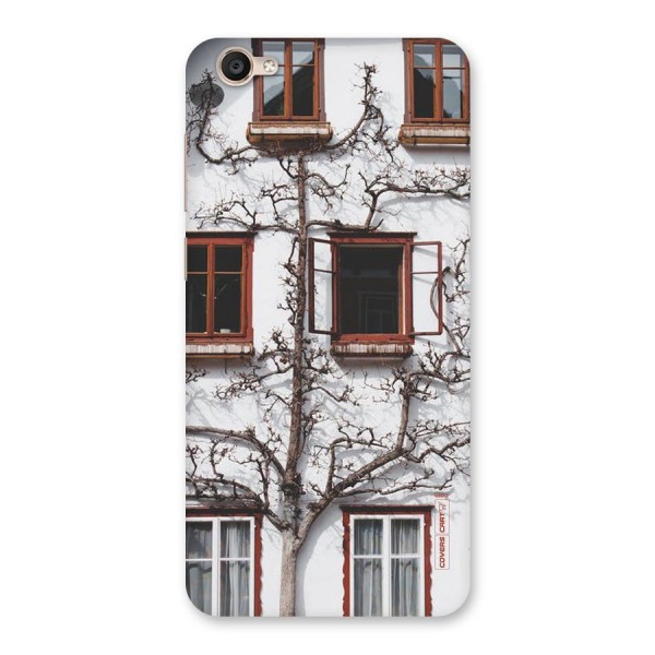 Tree House Back Case for Vivo Y55s