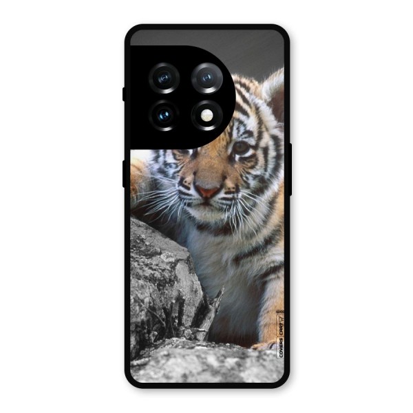 Animal Beauty Metal Back Case for OnePlus 11