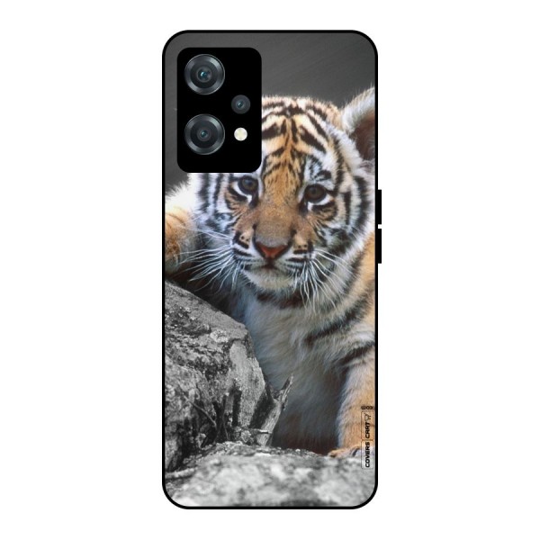 Animal Beauty Metal Back Case for OnePlus Nord CE 2 Lite 5G