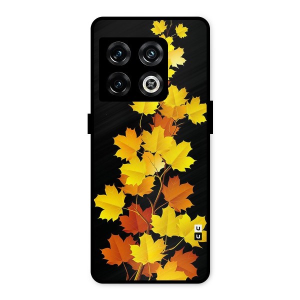 Autumn Forest Leaves Metal Back Case for OnePlus 10 Pro 5G