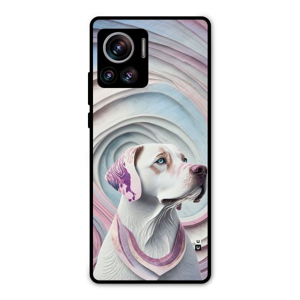 Eye Dog illustration Metal Back Case for Motorola Edge 30 Ultra
