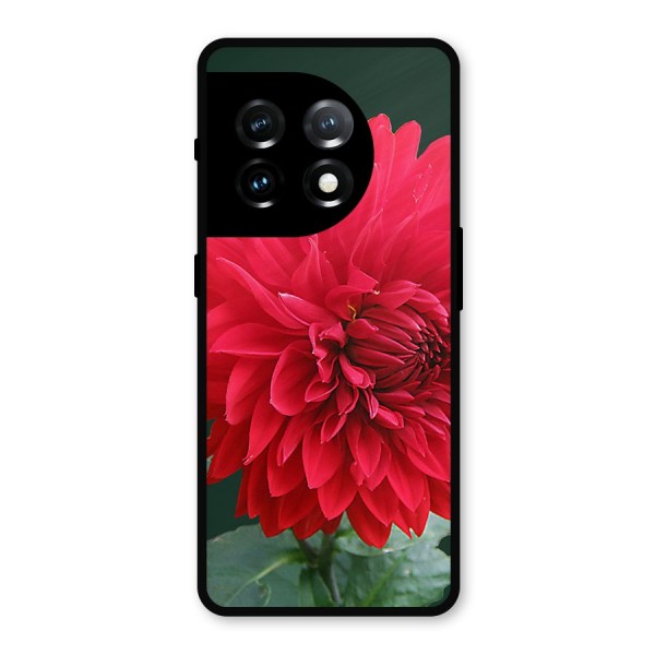 RedFlower. Metal Back Case for OnePlus 11