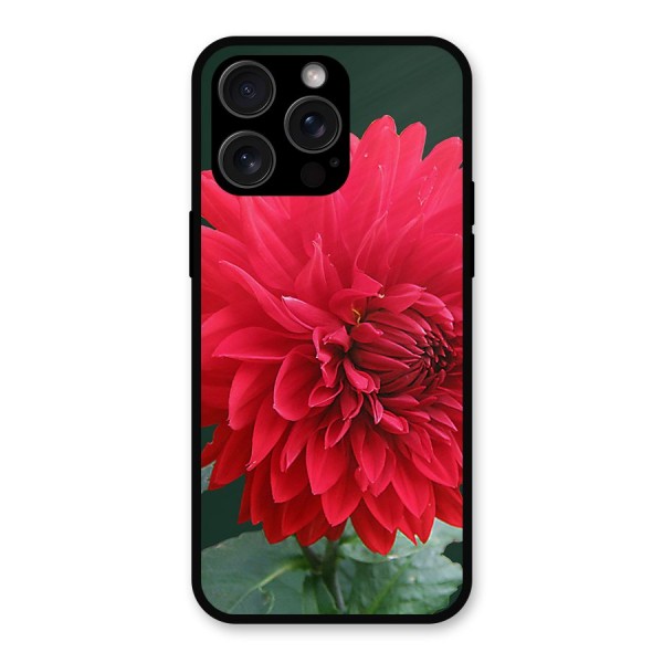 RedFlower. Metal Back Case for iPhone 15 Pro Max